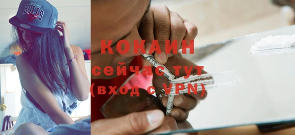 шишки Балабаново