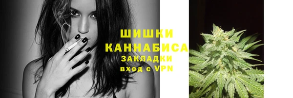 шишки Балабаново