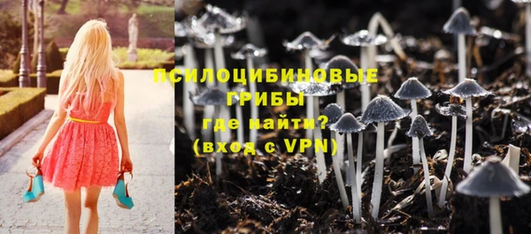 дурь Белоозёрский