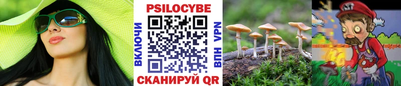 Галлюциногенные грибы Psilocybe Нерюнгри