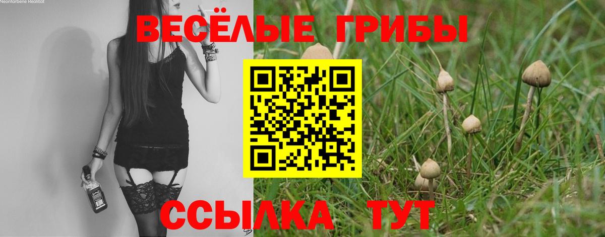 Галлюциногенные грибы MAGIC MUSHROOMS  Вход с VPN  Нерюнгри 